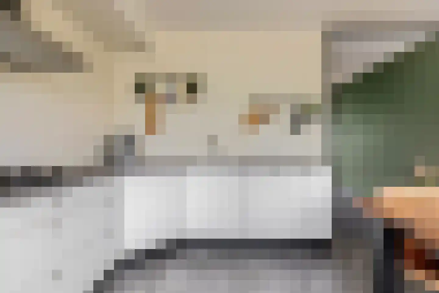 Arendshorst 17 Ede thumbnail 10