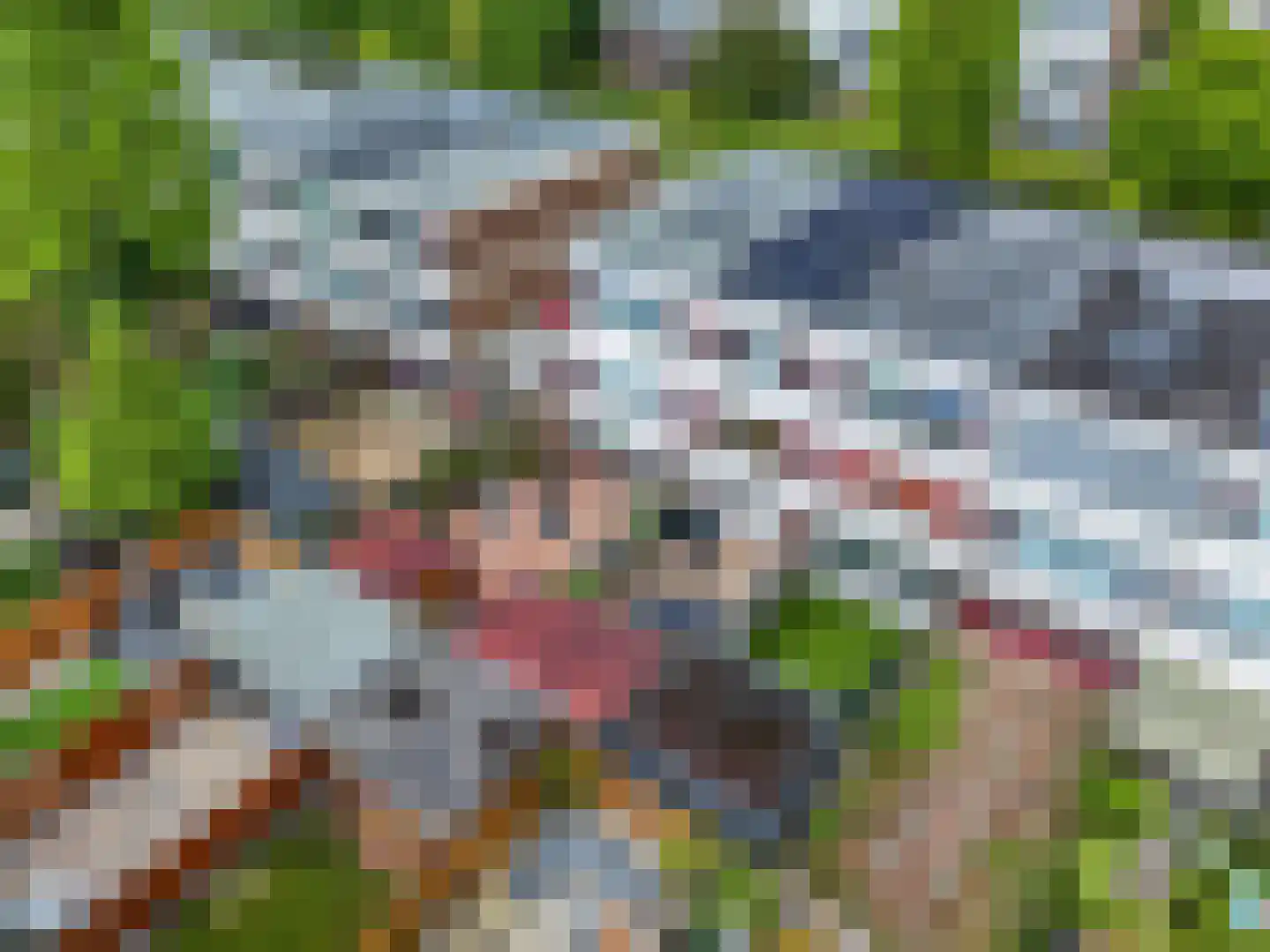 Arendshorst 17 Ede thumbnail 34