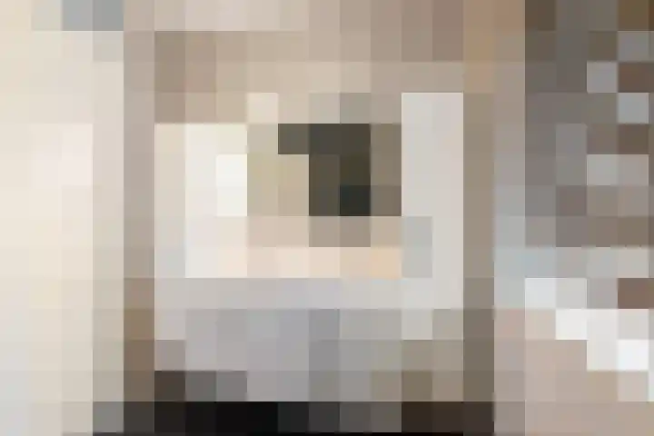 Arendshorst 27 Raalte thumbnail 17