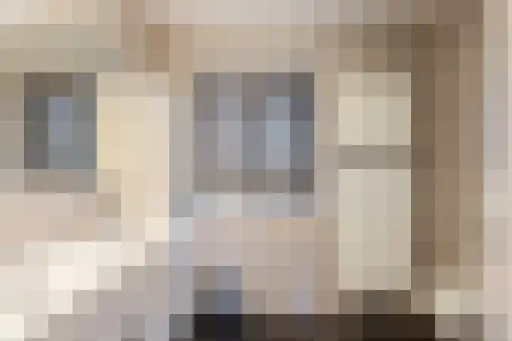 Arendshorst 27 Raalte thumbnail 18