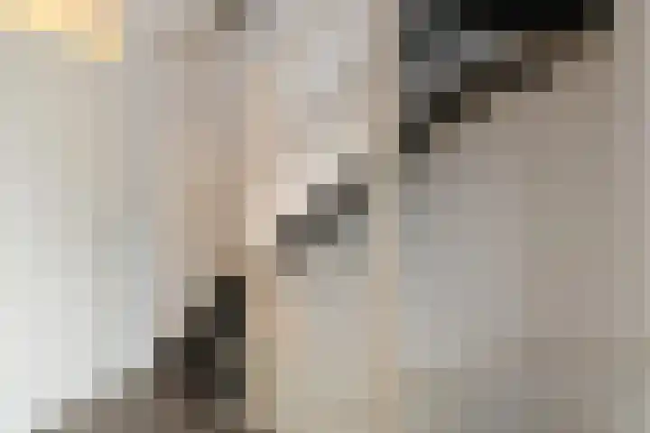 Arendshorst 27 Raalte thumbnail 20