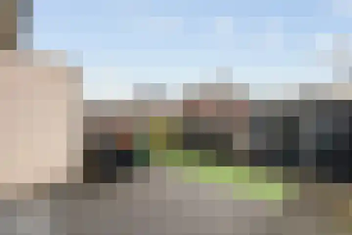 Arendshorst 27 Raalte thumbnail 24