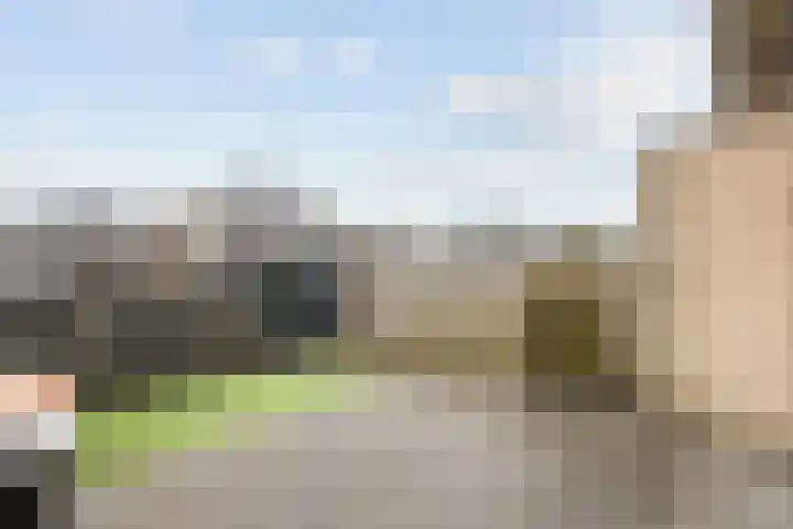 Arendshorst 27 Raalte thumbnail 25