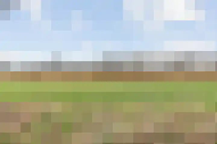 Arendshorst 27 Raalte thumbnail 28