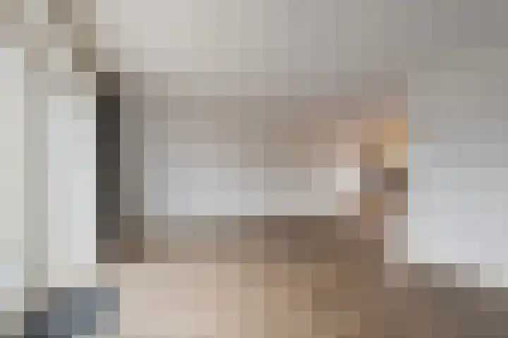 Arendshorst 27 Raalte thumbnail 9
