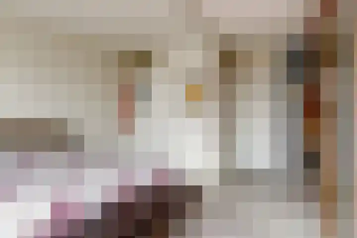 Arendshorst 3 Ede thumbnail 14