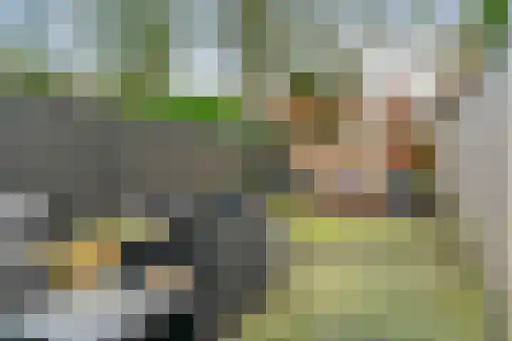 Arendshorst 3 Ede thumbnail 26