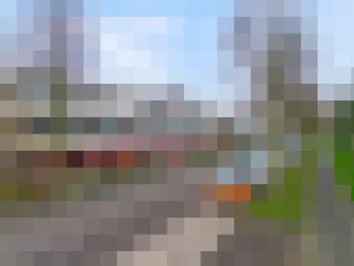 Arendshorst 3 Ede thumbnail 34