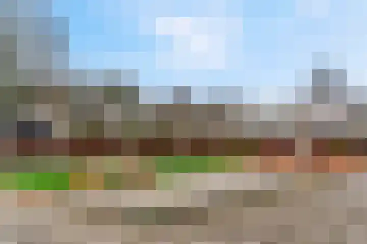 Arendshorst 3 Ede thumbnail 35