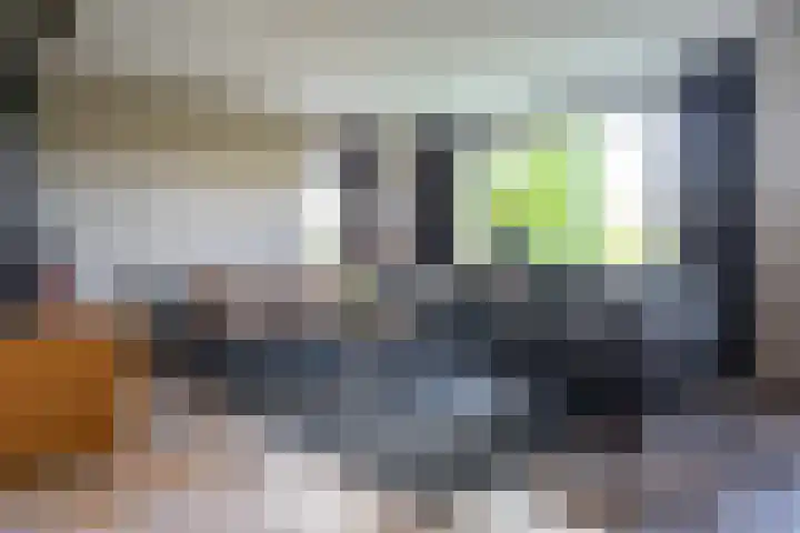 Arendshorst 3 Losser thumbnail 10