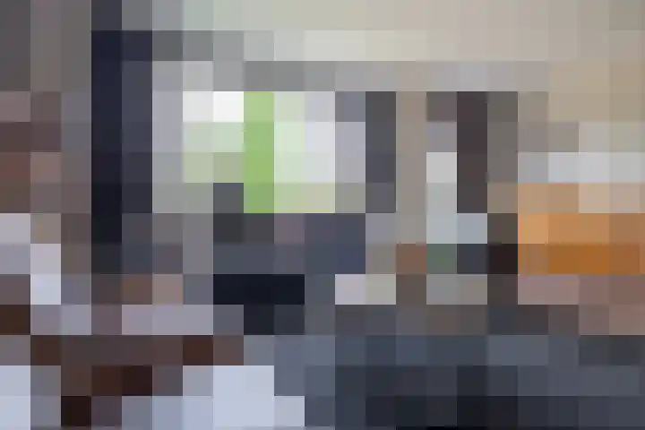 Arendshorst 3 Losser thumbnail 11