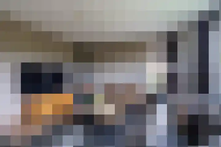 Arendshorst 3 Losser thumbnail 12