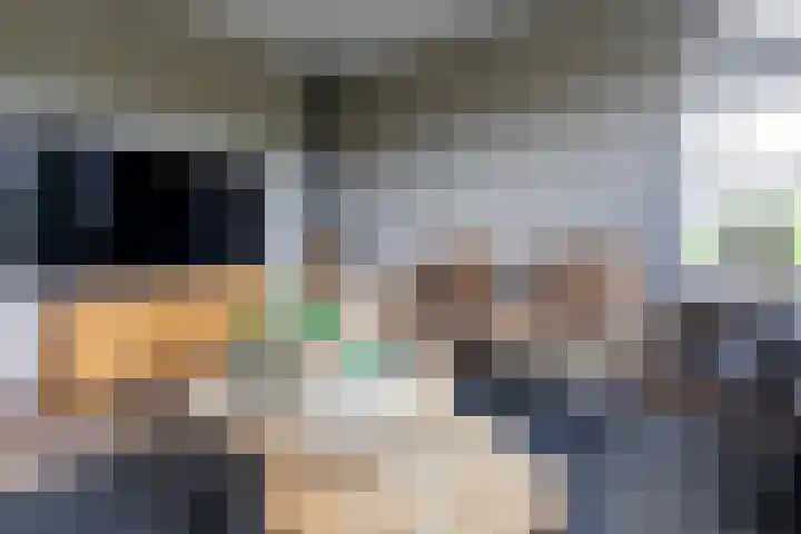 Arendshorst 3 Losser thumbnail 15