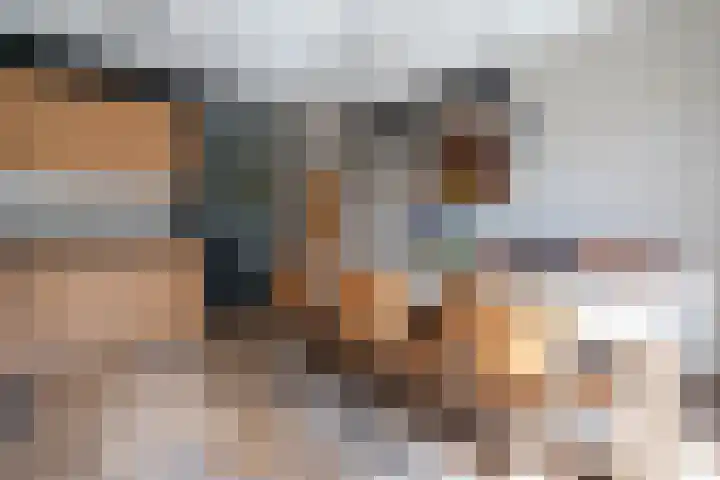 Arendshorst 3 Losser thumbnail 20