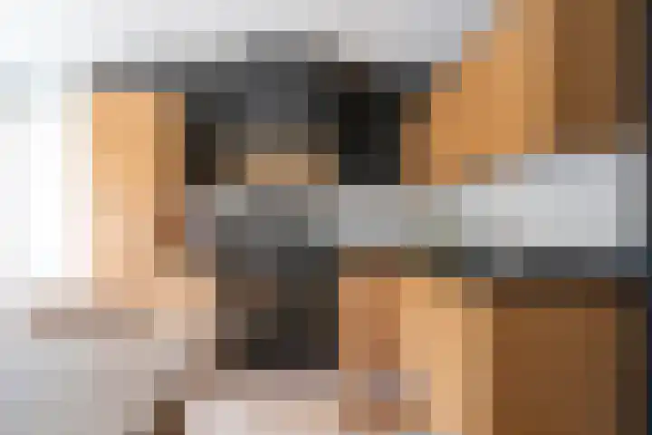 Arendshorst 3 Losser thumbnail 23