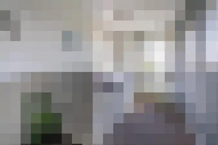 Arendshorst 3 Losser thumbnail 30