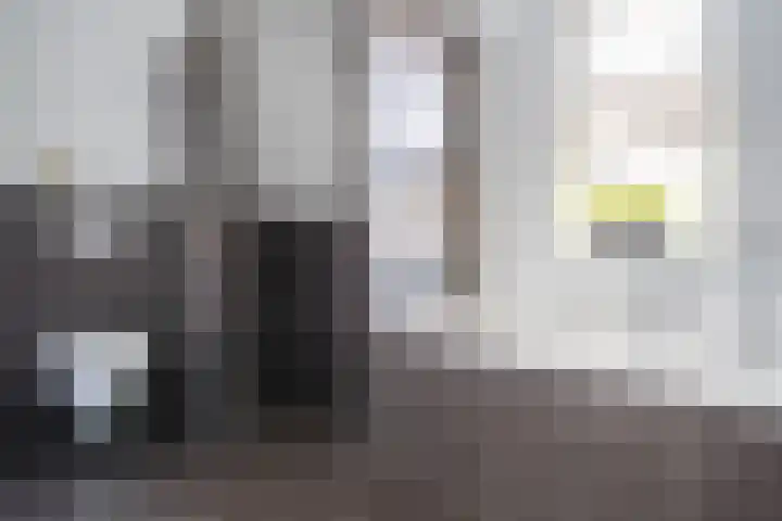 Arendshorst 3 Losser thumbnail 32
