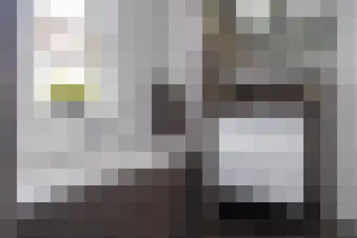 Arendshorst 3 Losser thumbnail 33
