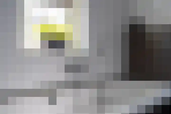 Arendshorst 3 Losser thumbnail 36