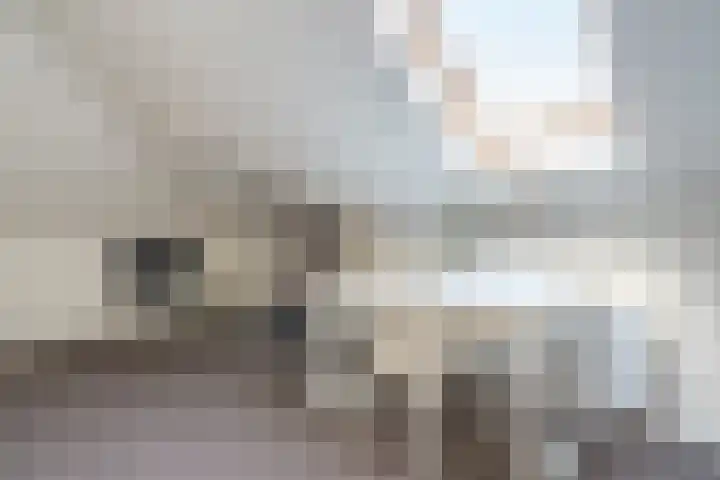 Arendshorst 3 Losser thumbnail 41