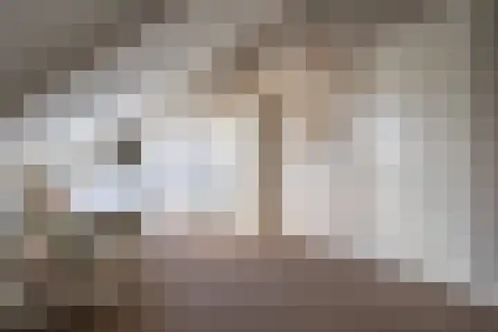 Arendshorst 3 Losser thumbnail 42