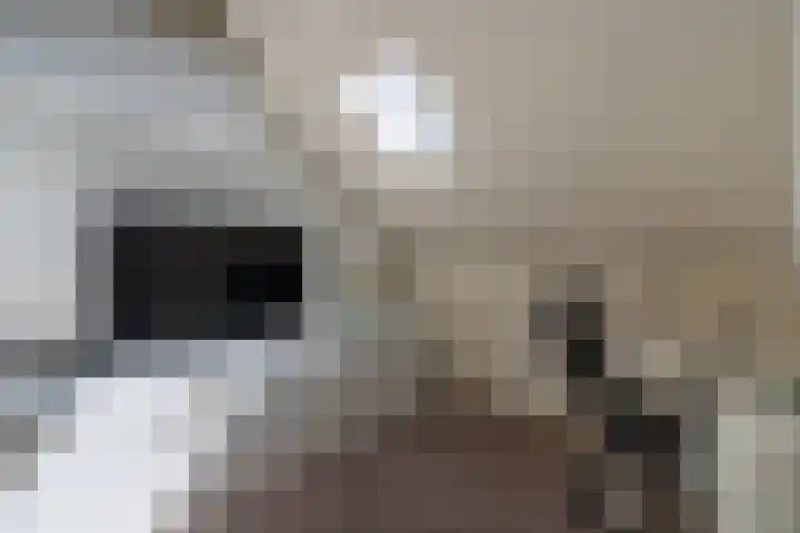Arendshorst 3 Losser thumbnail 43