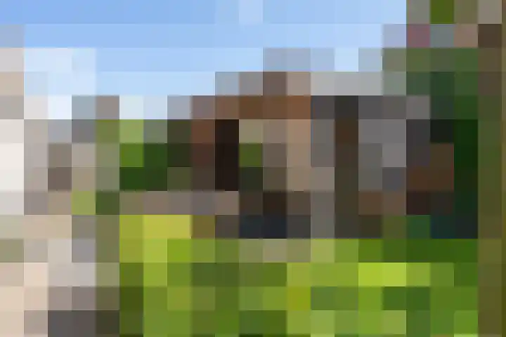 Arendshorst 3 Losser thumbnail 45