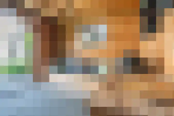 Arendshorst 3 Losser thumbnail 47