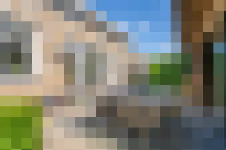 Arendshorst 3 Losser thumbnail 49