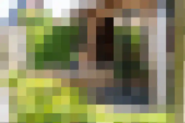 Arendshorst 3 Losser thumbnail 50