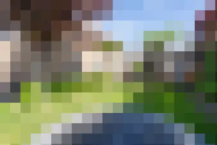 Arendshorst 3 Losser thumbnail 51