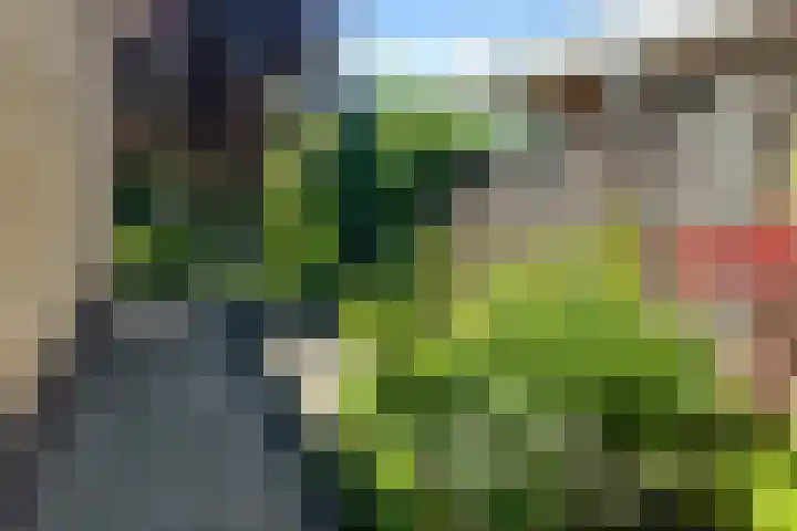 Arendshorst 3 Losser thumbnail 52