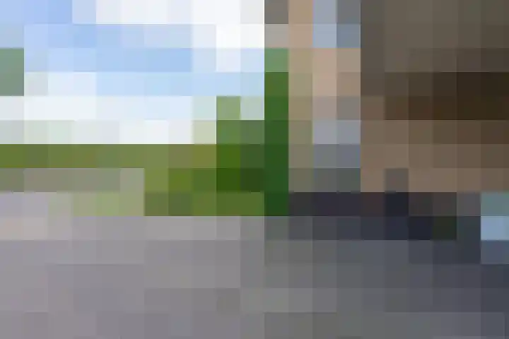 Arendshorst 3 Losser thumbnail 7