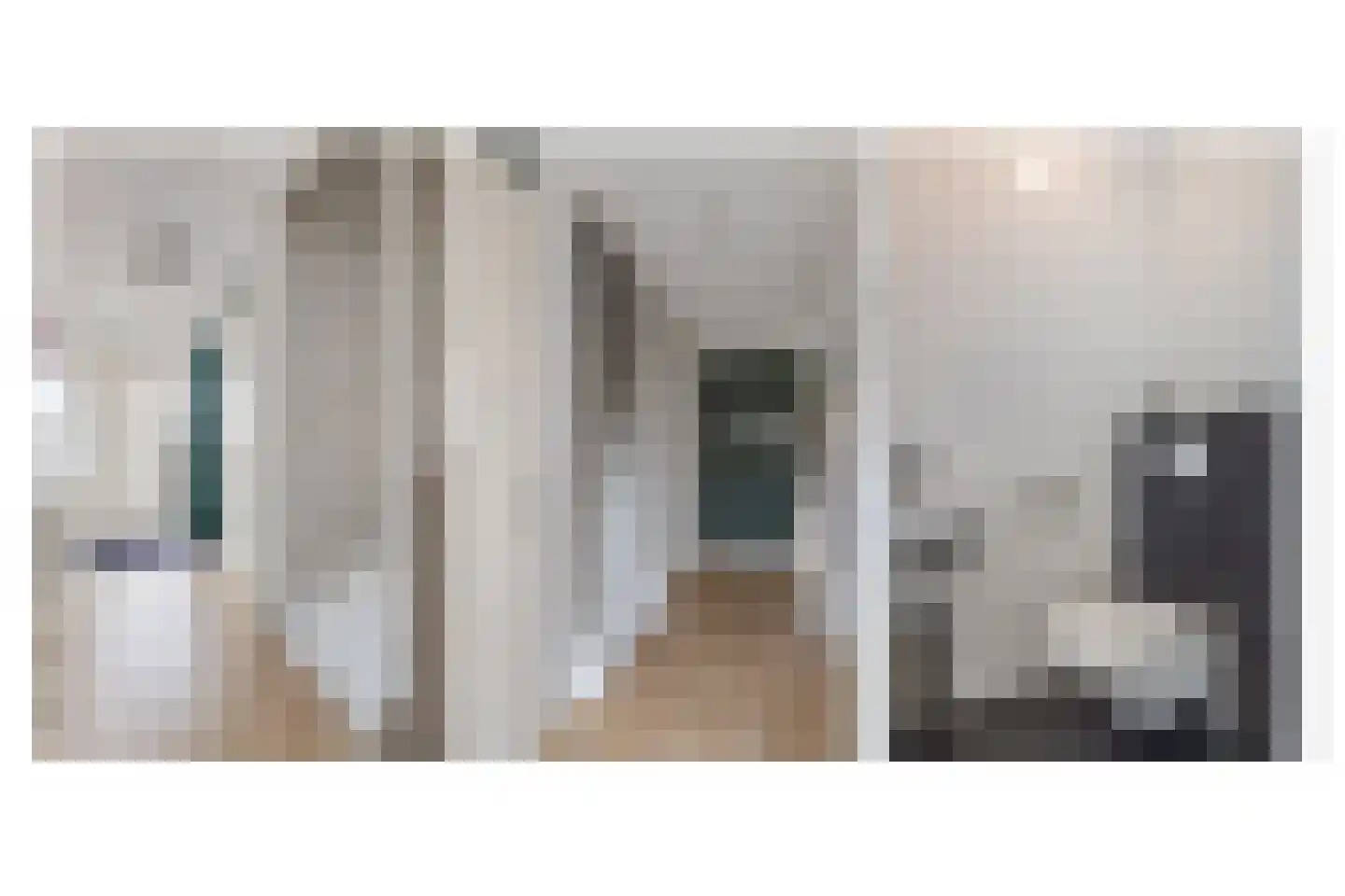 Arendshorst 31 Raalte thumbnail 12