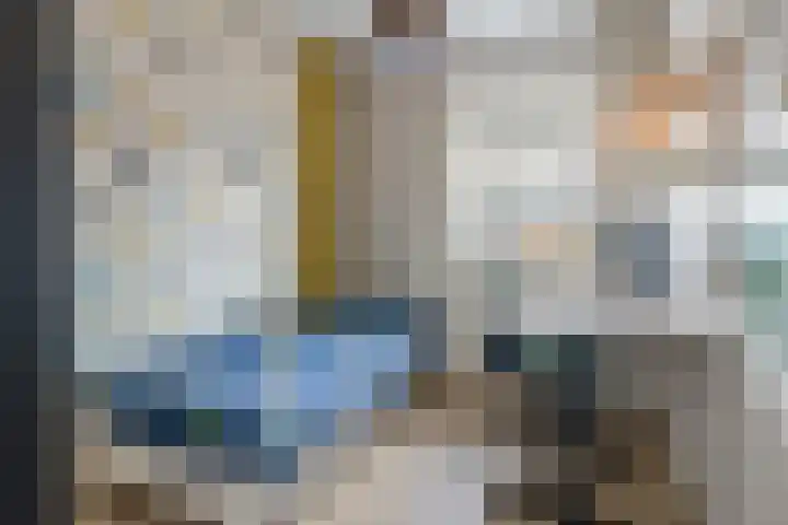 Arendshorst 31 Raalte thumbnail 15