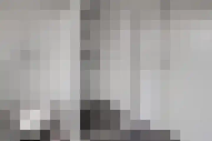 Arendshorst 31 Raalte thumbnail 18
