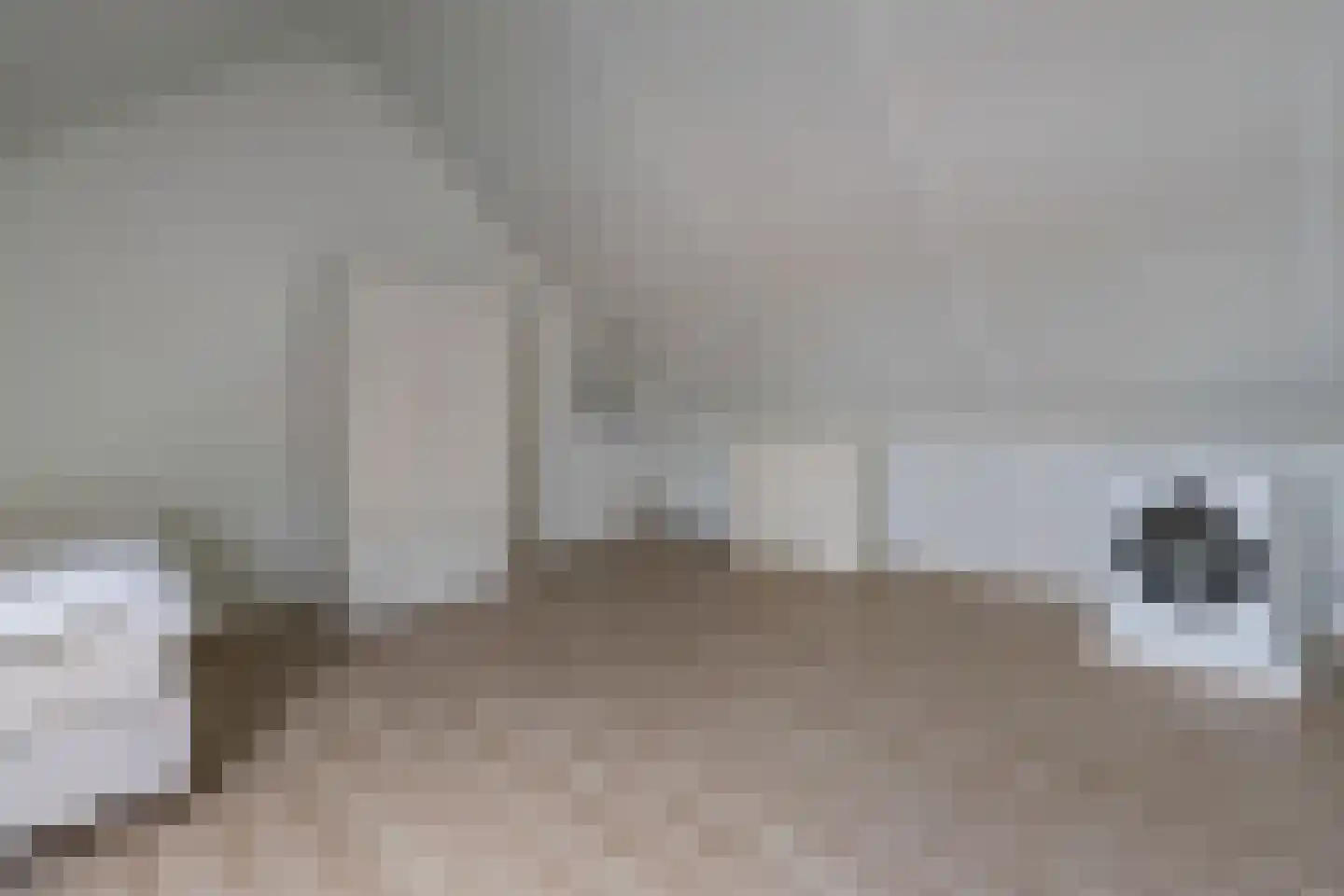 Arendshorst 31 Raalte thumbnail 21
