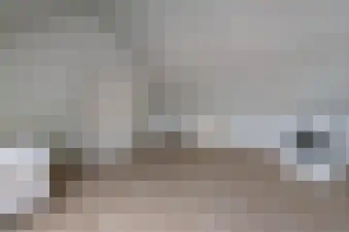 Arendshorst 31 Raalte thumbnail 21