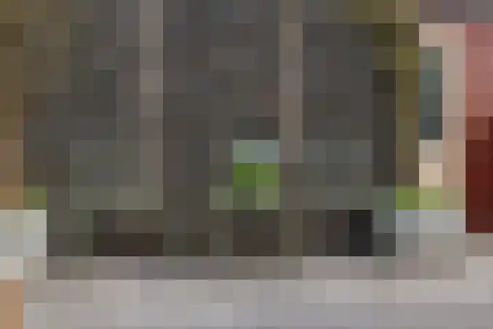 Arendshorst 31 Raalte thumbnail 26