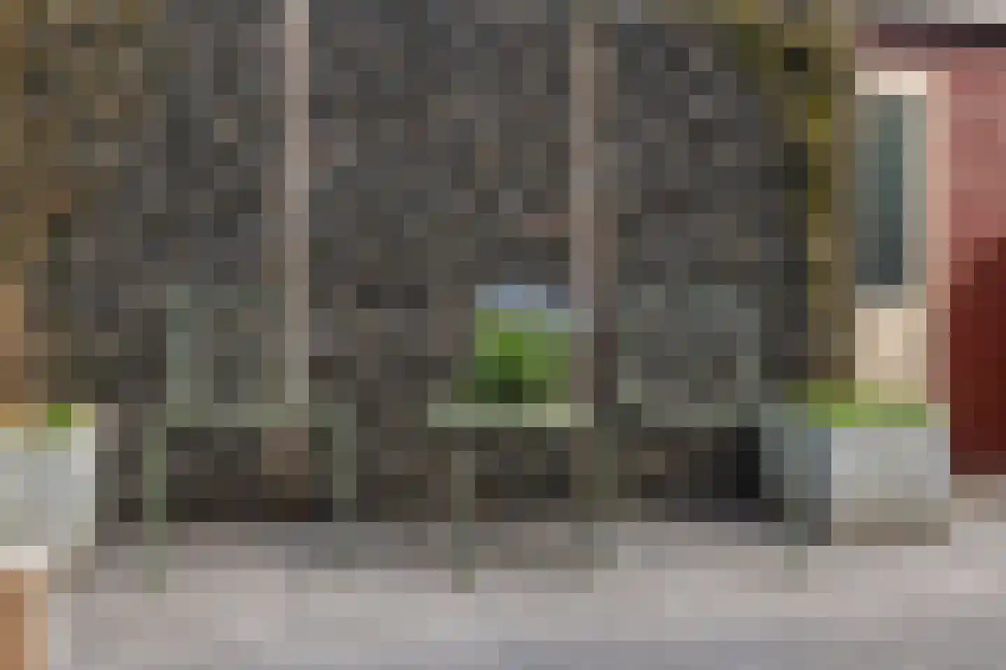 Arendshorst 31 Raalte thumbnail 26