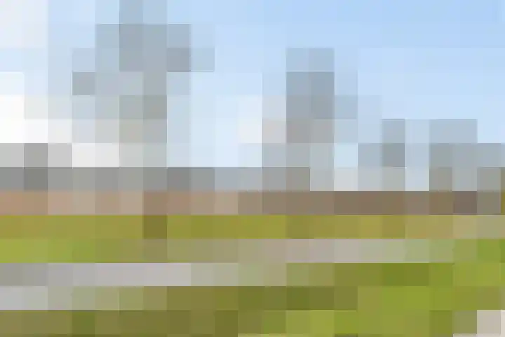 Arendshorst 31 Raalte thumbnail 30