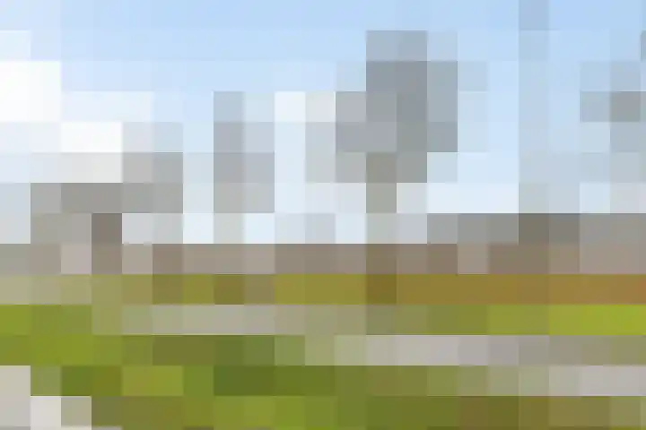Arendshorst 31 Raalte thumbnail 31