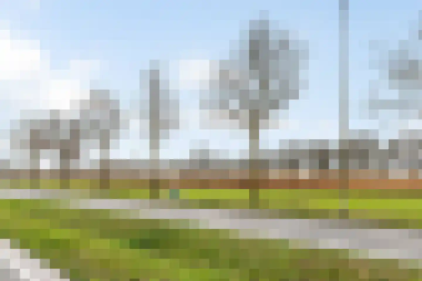 Arendshorst 31 Raalte thumbnail 31