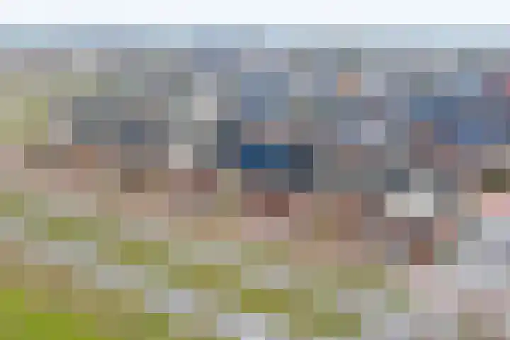 Arendshorst 31 Raalte thumbnail 32