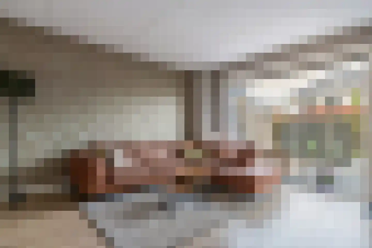 Arendshorst 31 Raalte thumbnail 4
