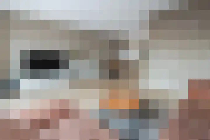 Arendshorst 31 Raalte thumbnail 6