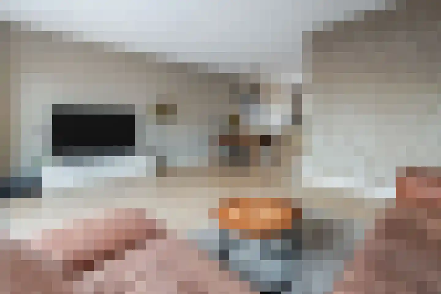 Arendshorst 31 Raalte thumbnail 6