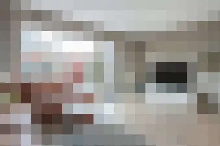 Arendshorst 31 Raalte thumbnail 7