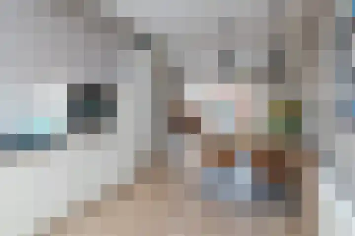 Arendshorst 31 Raalte thumbnail 9