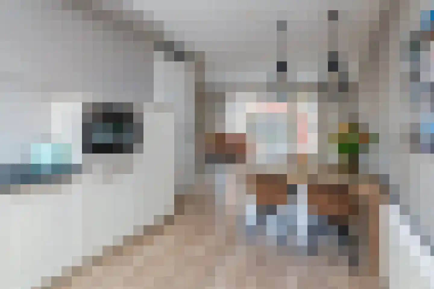 Arendshorst 31 Raalte thumbnail 9